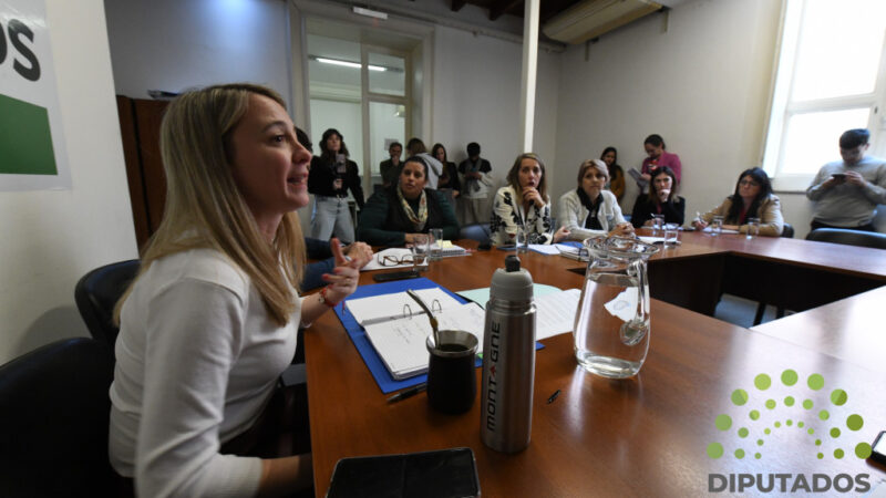 Proponen un régimen de boleto gratuito para estudiantes, docentes y no docentes