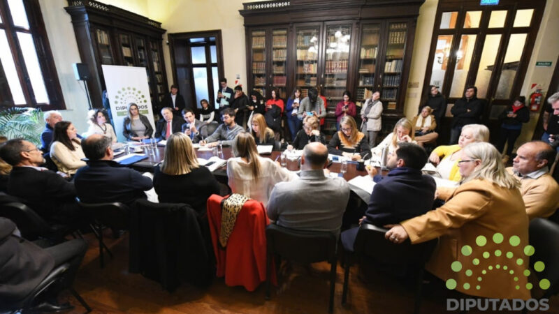 Comenzó el debate sobre las modificaciones a la ley de Juicio por Jurados