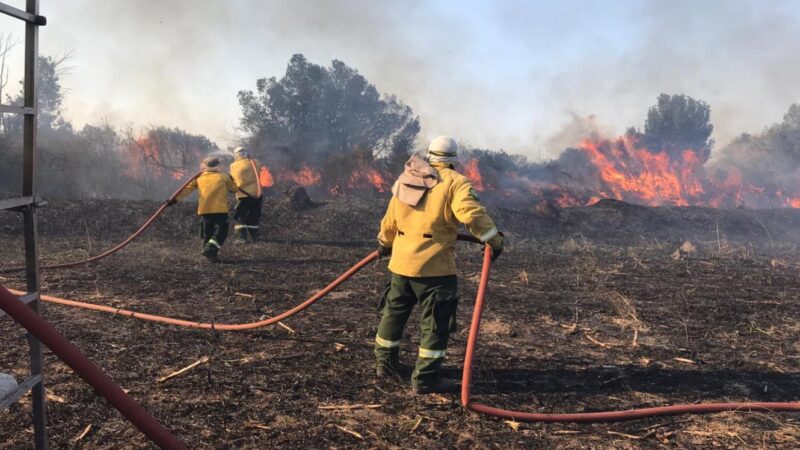 Se quemaron 140 hectáreas sobre ruta 12, cerca de La Paz