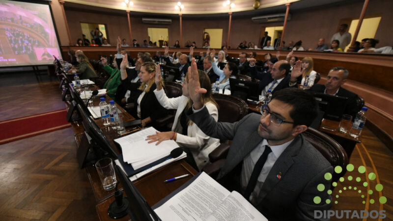 Diputados dio media sanción al Código Electoral de la Provincia