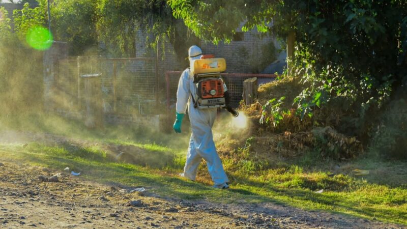 Se realizan tareas de fumigación y corte de pasto