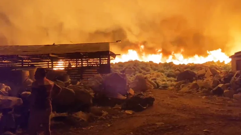 Gran incendio en San José: trabajan 10 dotaciones de bomberos de varias ciudades