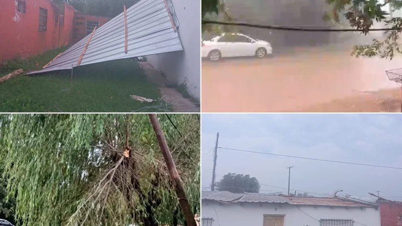 Fuerte temporal en el sur entrerriano causó voladuras de techos y árboles caídos